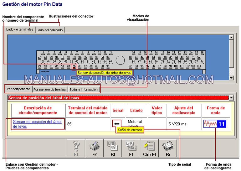 Manual De Mantenimiento Volkswagen Jetta 2005 2006 2007